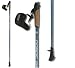 Suchen : Nordic Walking  St&ouml;cke aus CARBON blau