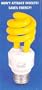 BUG 13-Watt Compact Fluorescent Mini Twist Bug (60-Watt Incandescent Equivalent)