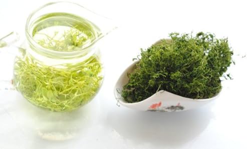 Sierra Tea Gynostemma (Twisting Vine Orchid Tea 50g), 绞股蓝