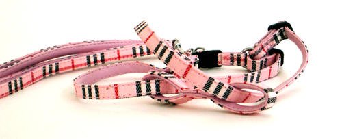 Pet Collar N Leash (Pink Small) NEW