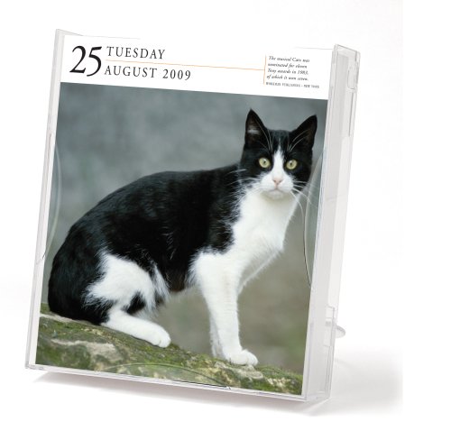 Cover image : Cat Gallery 2009 Calendar (Page a Day Gallery Calendar)