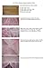 Pink Four Corner Square Princess Bed Canopy By Sid by Sid Trading