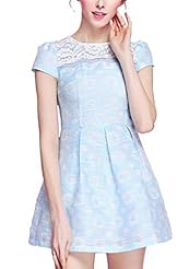 A-line Lace Fit-and-Flare Short Sleeves Homecoming Dress/Party Dress/Wedding Dress 