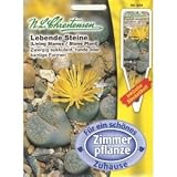 Eigenschaften Chrestensen  / Lebende Steine (Portion inkl. Stecketikett)