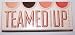 Bare Escentuals Teamed Up Eye Shadow Collection