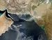 Wallmonkeys Peel and Stick Wall Decals - Dust Storms across Iran, Afghanistan, Pakistan, and the Arabian Sea. - Removable Graphic
