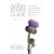 The Good Schools Guide 2008 2008