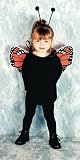 Costumes For All Occasions 13504 Butterfly My 1St Costume