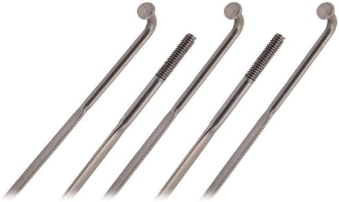Sapim CX-Ray 262mm