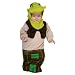 Shrek Bunting Costume - 0-6 Months