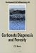 Post image for Carbonate Diagenesis and Porosity (Developments in Sedimentology)