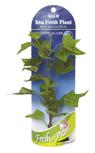 テトラ フレッシュプラント M5