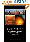 Primer on Foreign Investment Enterprises and Protection of Intellectual Property in China