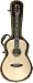 Faith Mercury II Natural Parlour Guitar with Hard Case