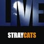 Stray Cat Strut