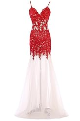 Mermaid Lace Evening Dress/Bridesmaid Dress/Prom Dress 