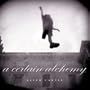 A Certain Alchemy (Southwestern & Mexican Photography Series, Wittliff Collections at Texas State University)