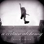 A Certain Alchemy (Southwestern & Mexican Photography Series)