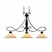 Golden Lighting 8106-10 CDB Torbellino Island Light, Cordoban Bronze Finish