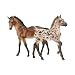 Colorful Gift Set - Bay Leopard & Dun