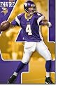 Minnesota Vikings - Brett Favre Poster Print, 22x34