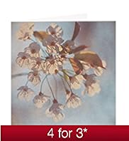 Blurred Flowers Blank Card