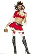 Sexy Pirate Costume Captain Booty 5 Piece Costume