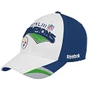 Pittsburgh Steelers Super Bowl XLIII Champions Official Locker Room Hat
