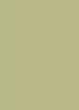 Dimensions Oversized Color Sample - Key Lime Pie