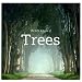 Save The Trees