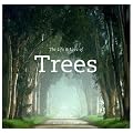 The Life & Love of Trees: He who plants a tree, plants a hope