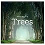 The Life & Love of Trees by Lewis Blackwell