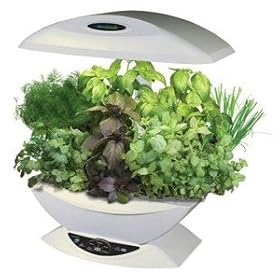 aero garden