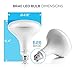 Hyperikon BR40 LED Bulb Dimmable, Daylight Glow