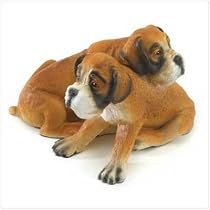 BOXER PUPPIES