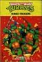 Buried Treasure (Teenage Mutant Ninja Turtles)