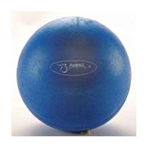 FitBall Mini Exercise Ball FBMINI 9