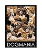 Dog Mania