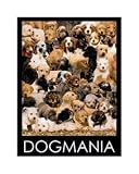 Dog Mania