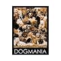 Dog Mania