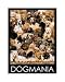 Dog Mania Image