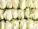 100 White Roses From South America (Wholesale) | 22-inch Stems | 100 Stems | Weddings, Anniversaries, or Party Decorations