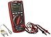 Triplett 9055 6-in-1 Autoranging Digital Multimeter, 53 Measurement Ranges