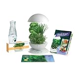 Outdoor Living : Aerogrow AeroGarden Chef In A Box