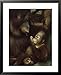 Orang Utan Mother and Baby, Pongo Pygamaeus, in Captivity, Singapore Zoo, Singapore Collections Framed Art Poster Print by Ann & Steve Toon, 25x31