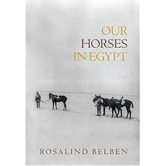 Our Horses in Egypt