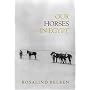 Our Horses in Egypt