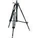 Photo : Bogen 3246 Studio Tripos