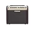 Musical Instruments: Fishman Loudbox Mini Acoustic Instrument Amplifier