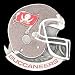 Tampa Bay Buccaneers Pin - NFL Football Fan Shop Sports Team Merchandise